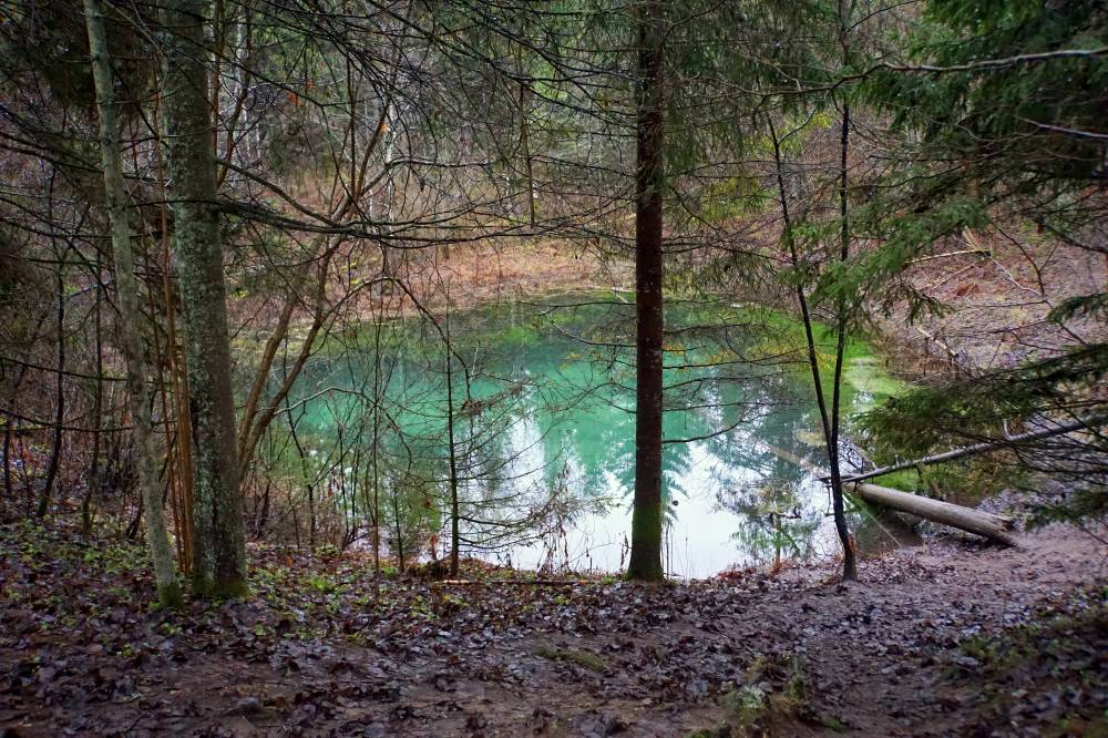 Vett paitama kutsuv veesilm puude keskel