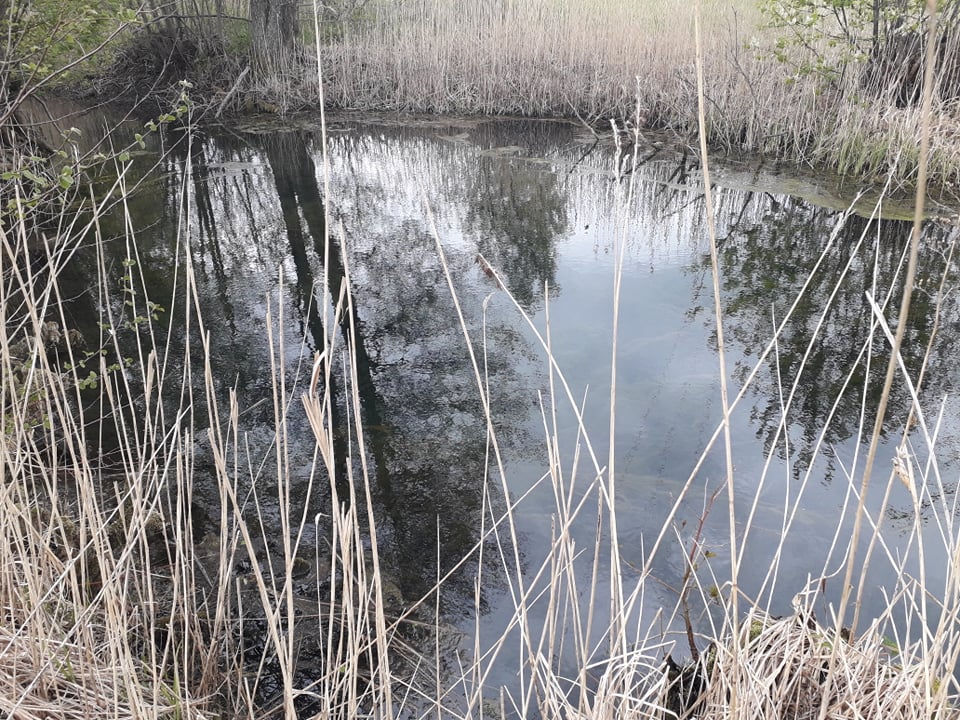 Sepa allikas, Sepaste allikas