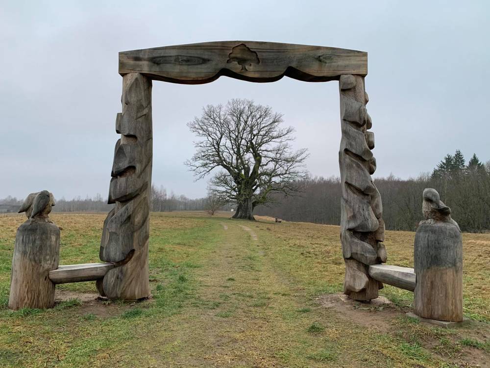 Tänapäeva talvine pilk Tamme-Lauri tammele