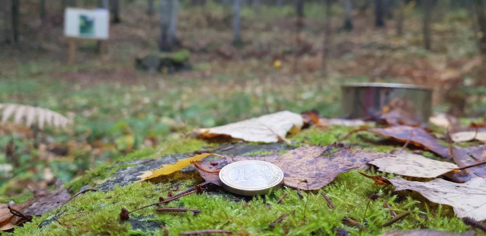 ohvrikivi Armuorus, Tulemäel