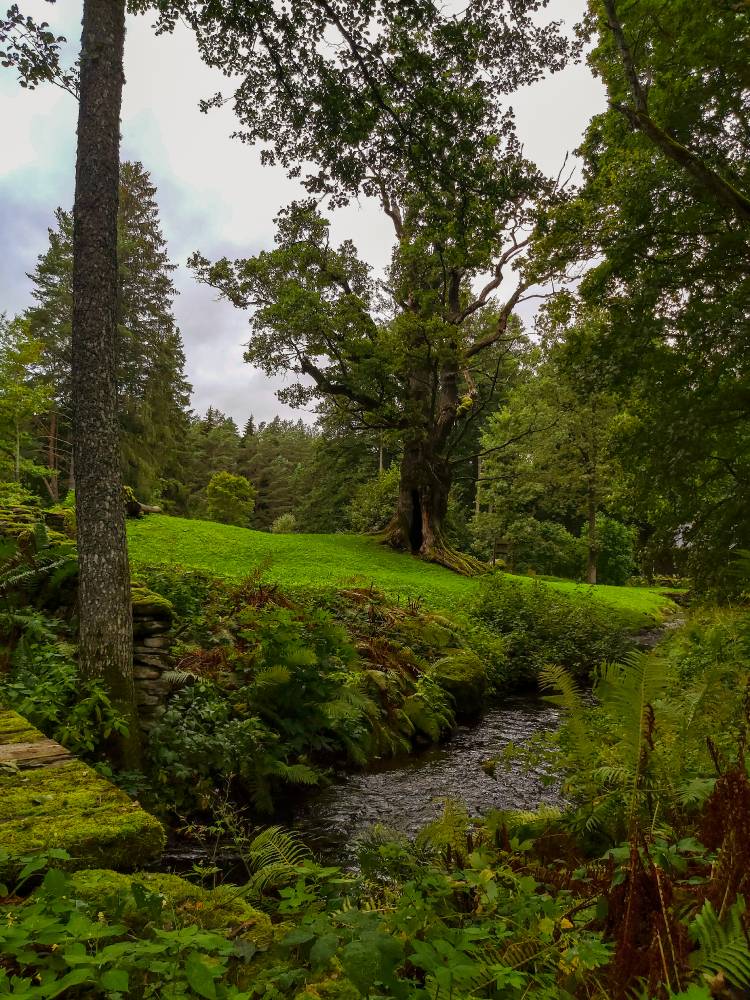 Tülivere hiietamme kallistus ja maagiline hiiepaik