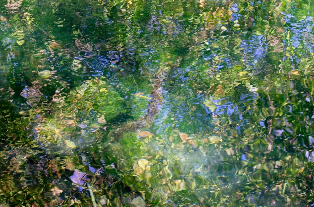 Tantsivad allikahaldjad