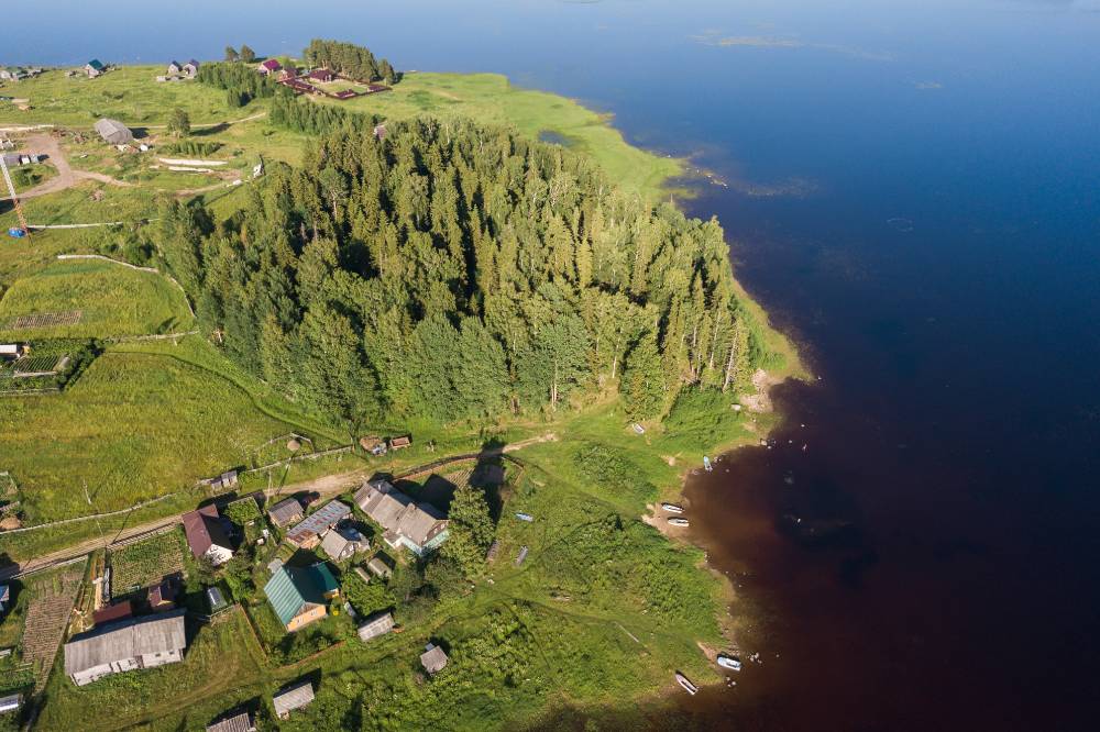 Тихвинская Святая роща