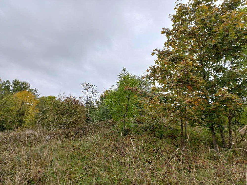 Ämmamägi/ kivikalme