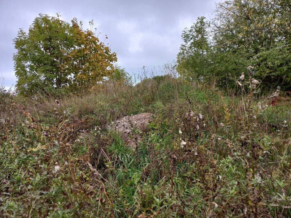 Ämmamägi/ kivikalme