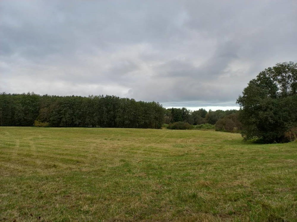 Iru hiis - pühapaik