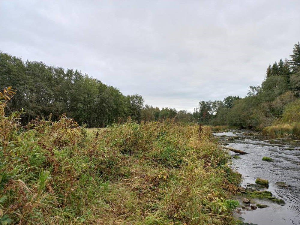 Iru hiis - pühapaik