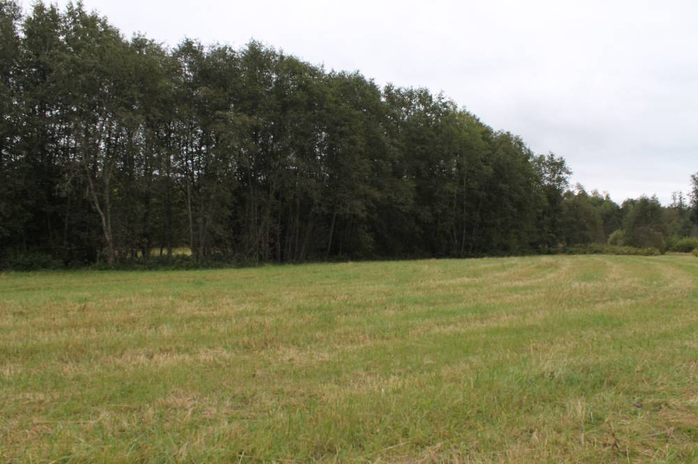 Iru hiis - pühapaik