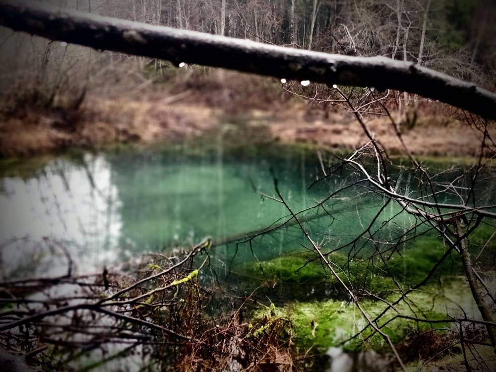 Siniallikad - tervendav pisar