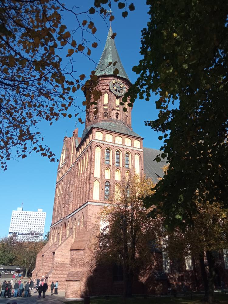 Священная дубовая роща пруссов 