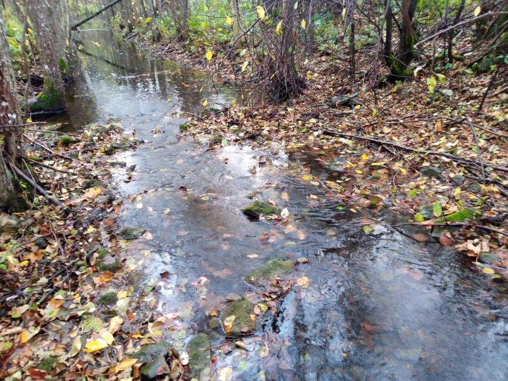 Sügisene Maadevahe jõgi