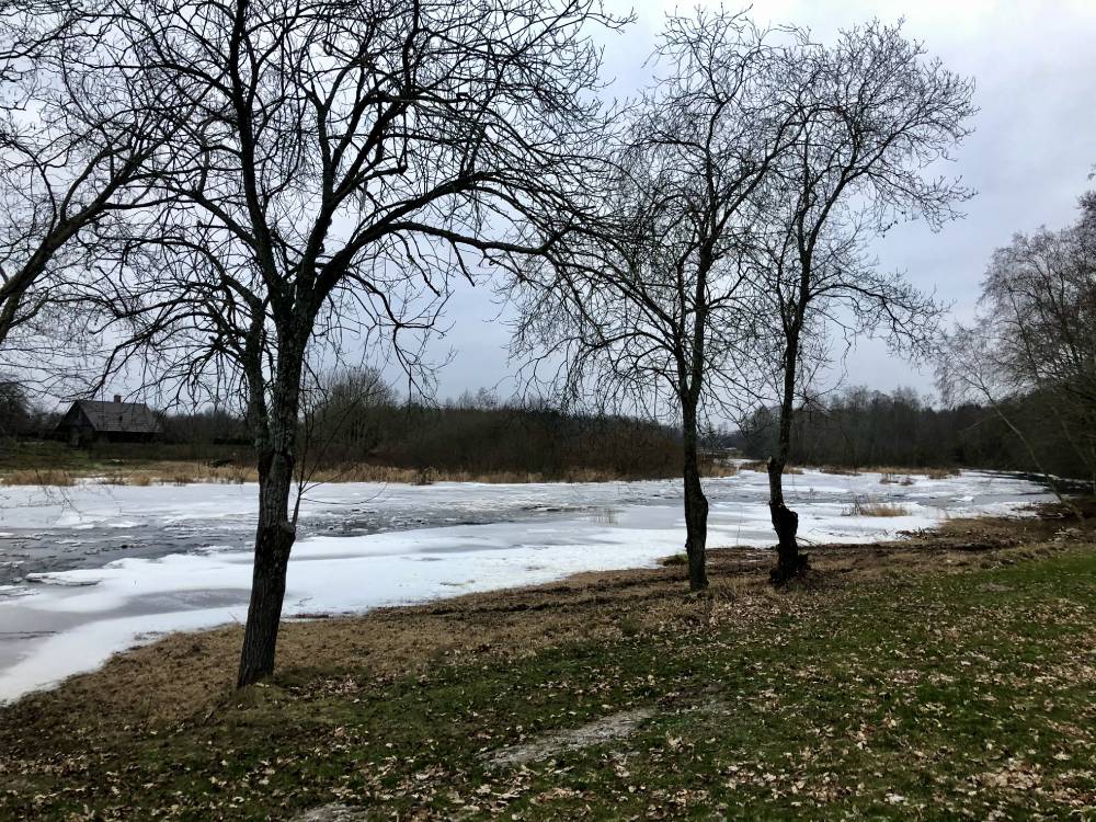 Eesti kõrgeim looduslik juga 