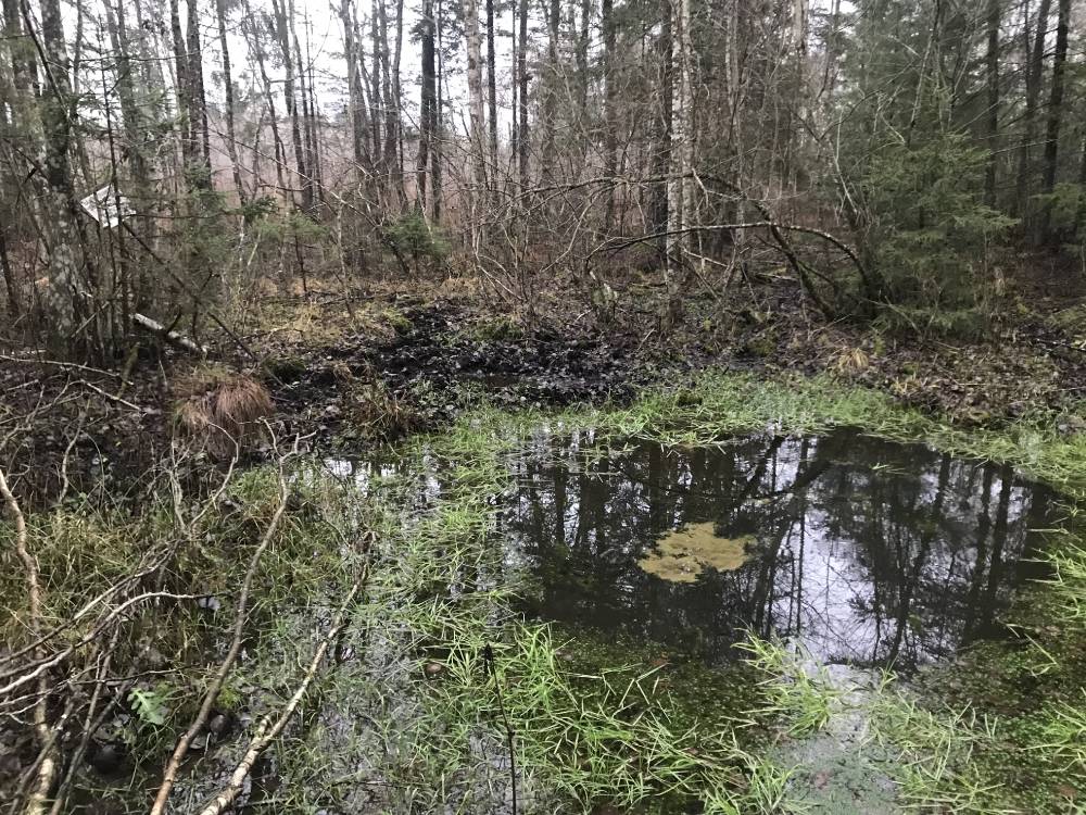 Arussaare Uduallikas