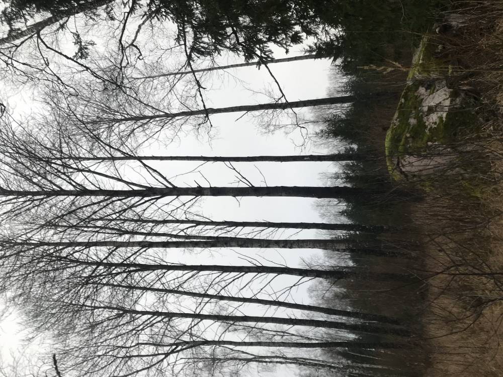 Arussaare püha kivi