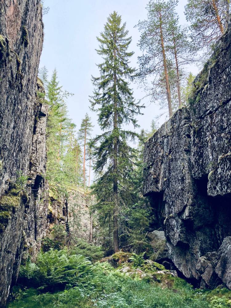 Porttilouhi, tietäjien muinainen pyhättö, uhri-ja seremoniapaikka