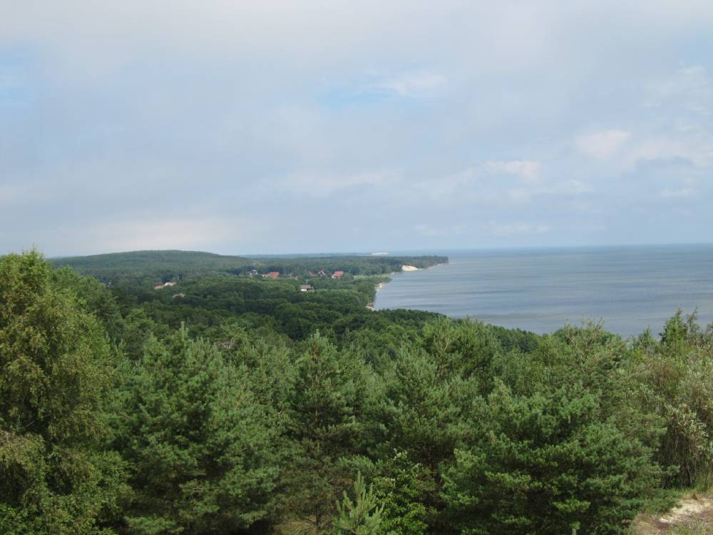 Священные леса Куршской Косы