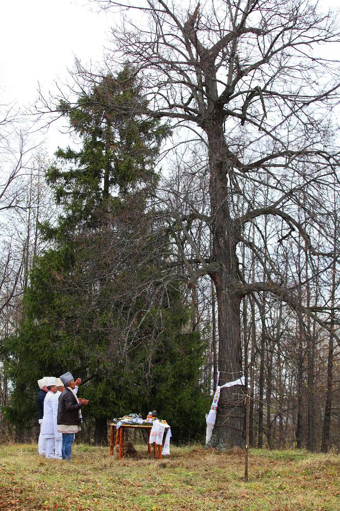 На священной роще