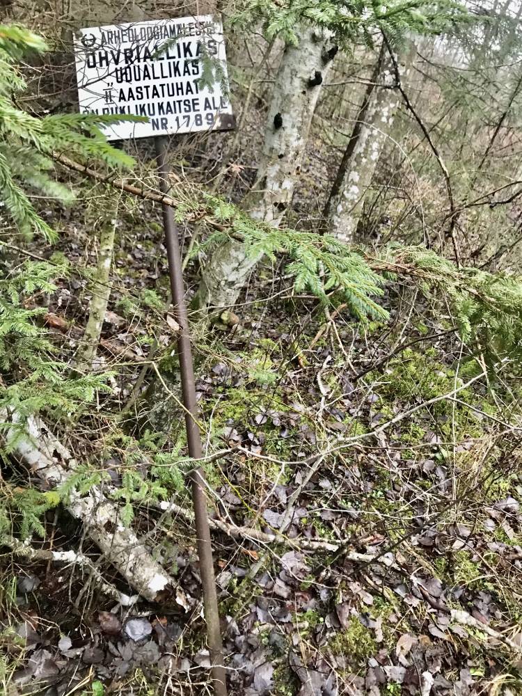 Arussaare Uduallikas