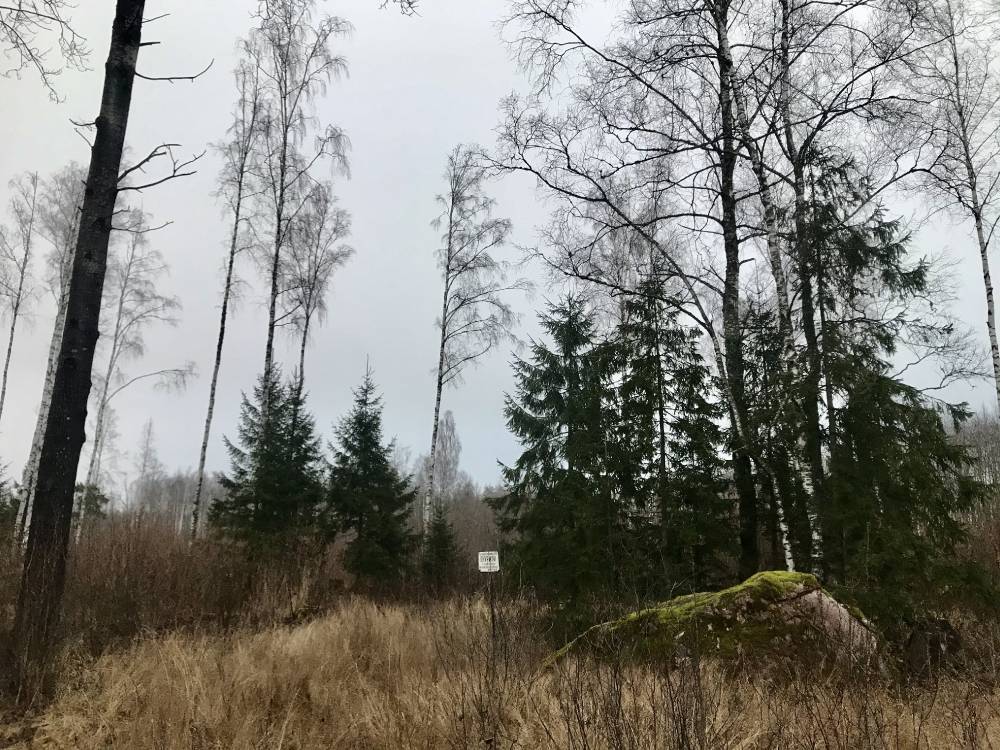 Arussaare püha kivi