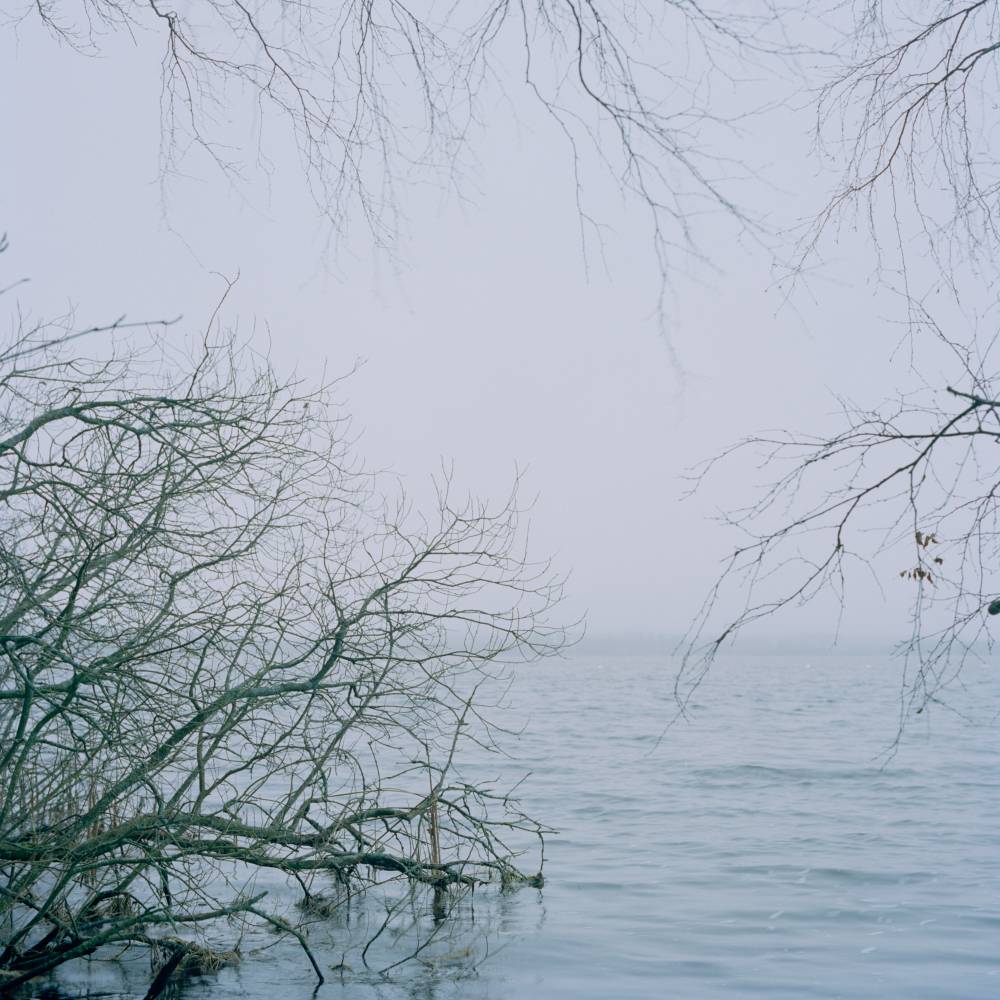 Vaade Uuri hiiesalust