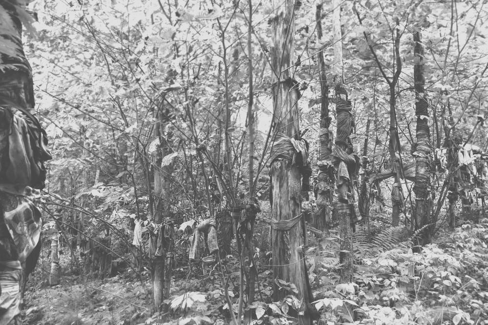 Священная роща