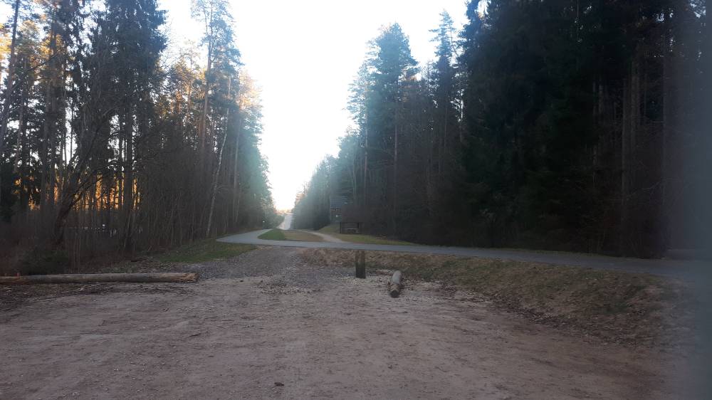 Vapramäe hiis - algus