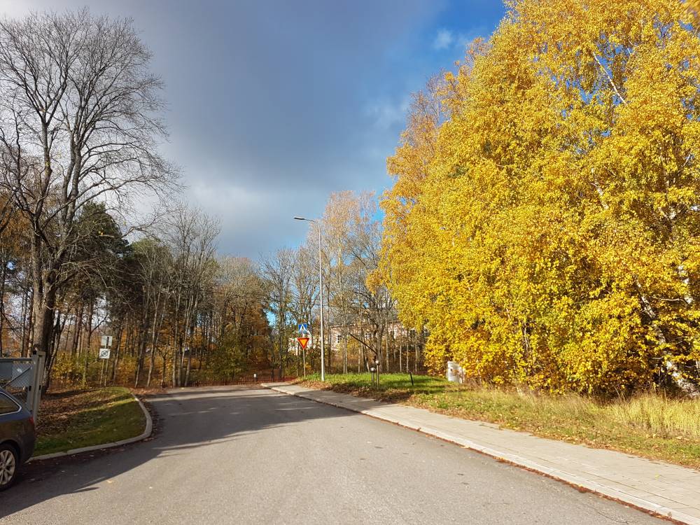 Hiisi kaupungin otteessa