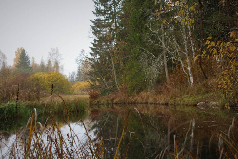 Maagiline Sinialliku allikas Viljandimaal