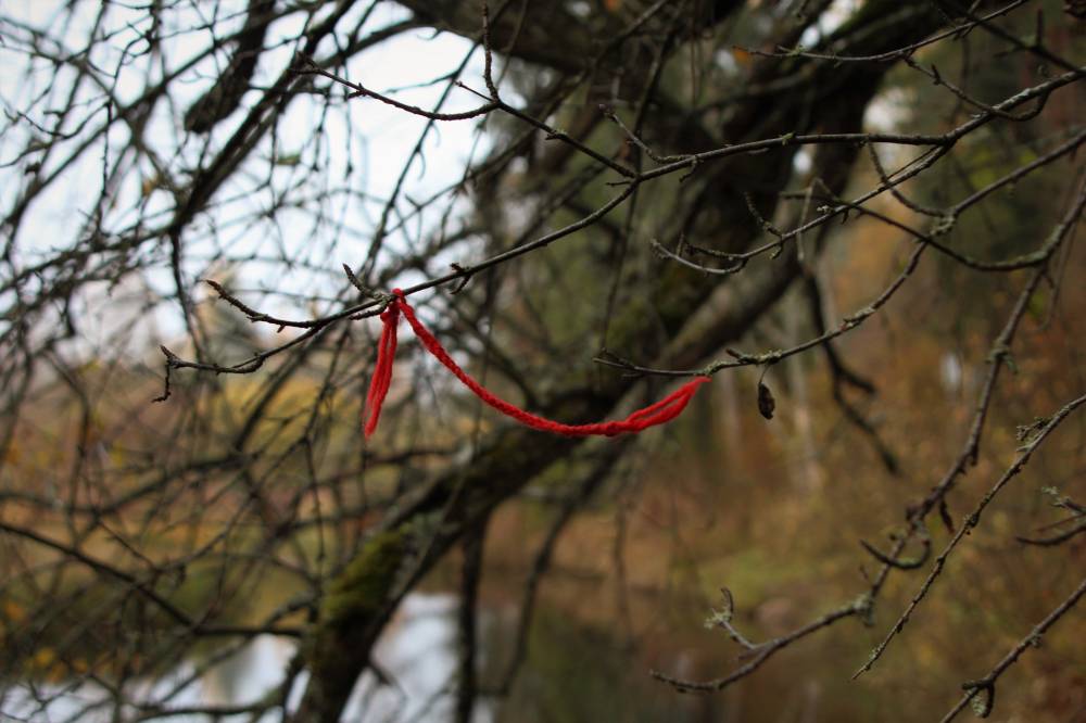 Maagiline Sinialliku allikas Viljandimaal