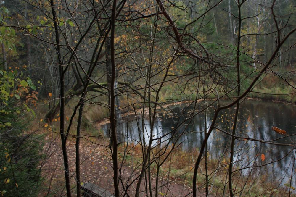 Maagiline Sinialliku allikas Viljandimaal