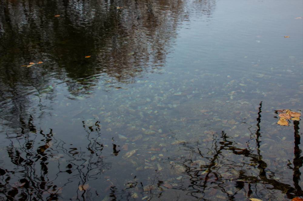 Maagiline Sinialliku allikas Viljandimaal