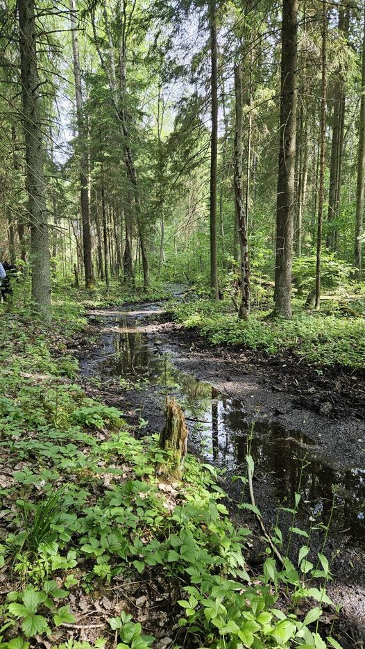 Kalevipoja varandus Uduallikas.