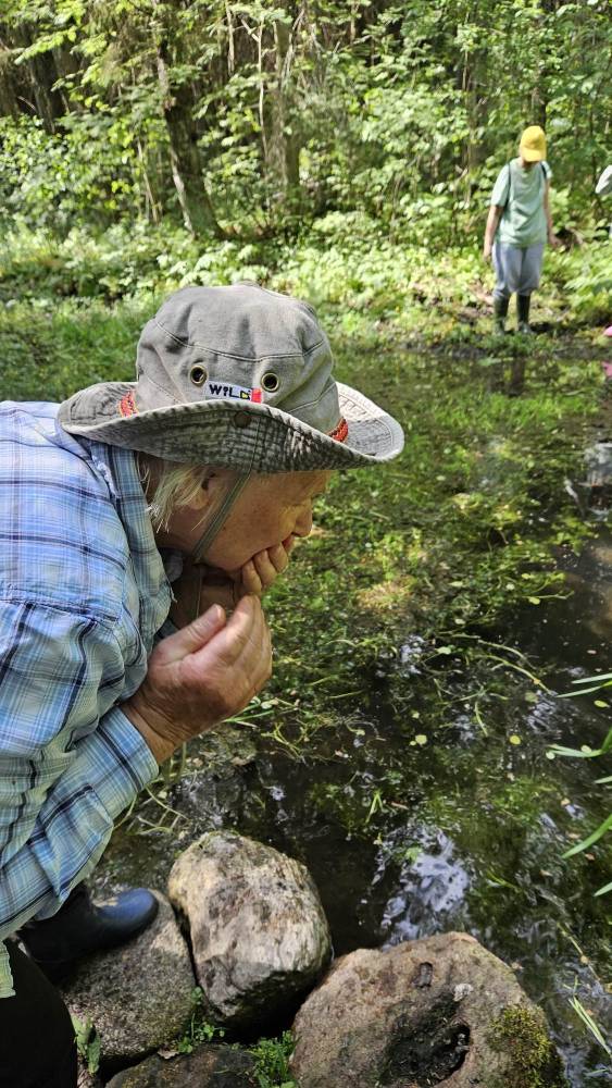 Kalevipoja varandus Uduallikas.