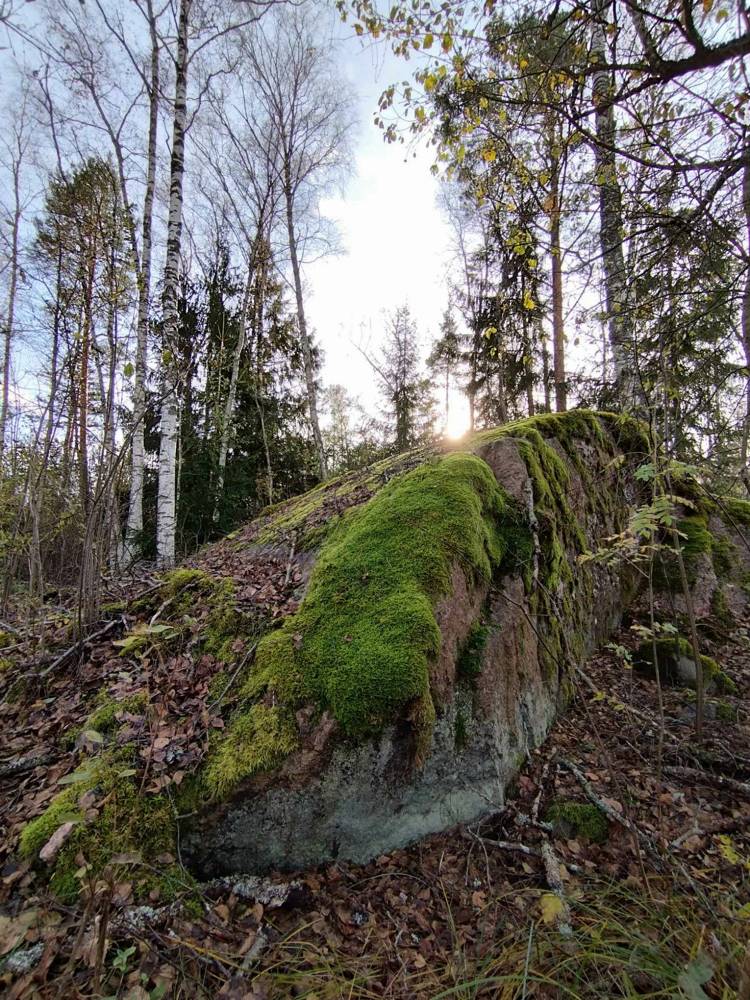 Kaarnavälja liukivi