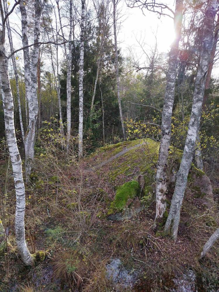 Kaarnavälja liukivi