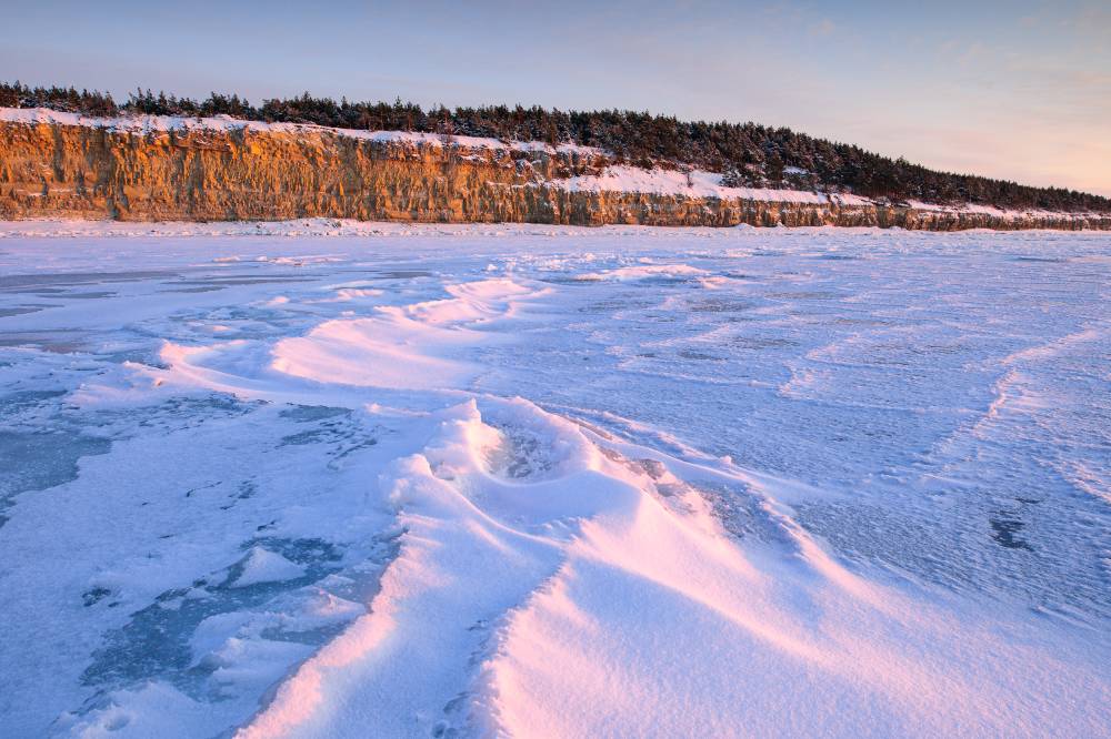 Tuisuvaalud Panga panga all