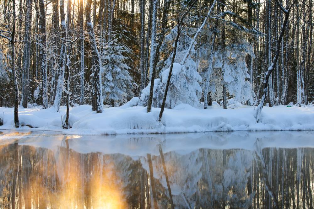 Prandi allika kullatud vesi