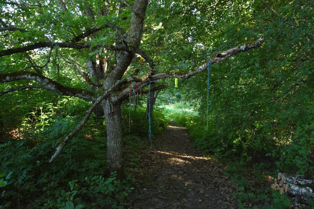 Vana-Vigala ohvrihiis