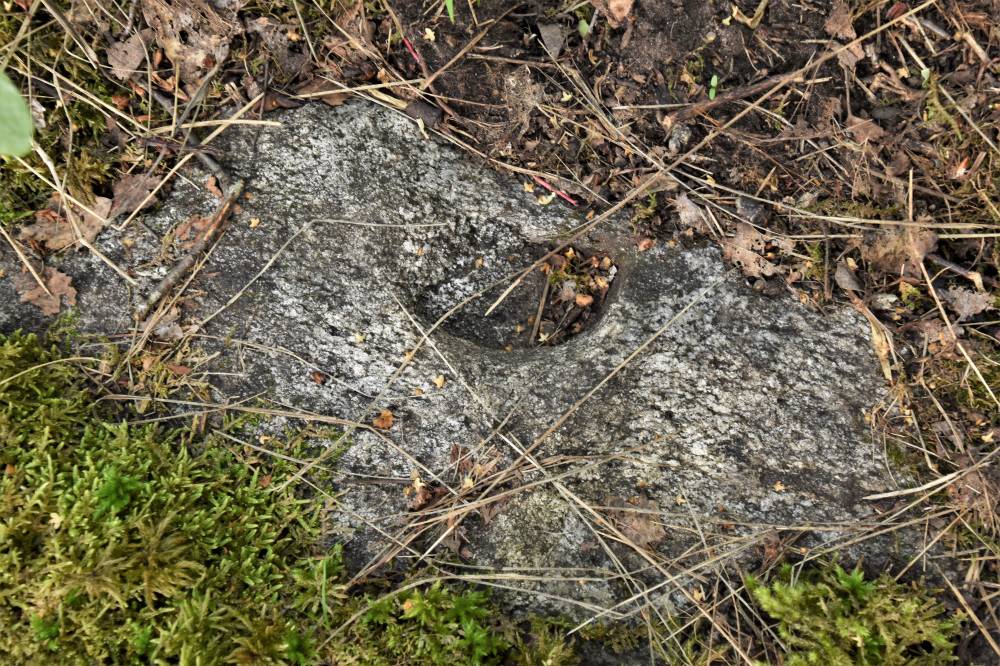 Kitsejälg ohvrikivil