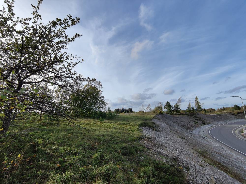 Tehase tee Hiiemäe kõrval