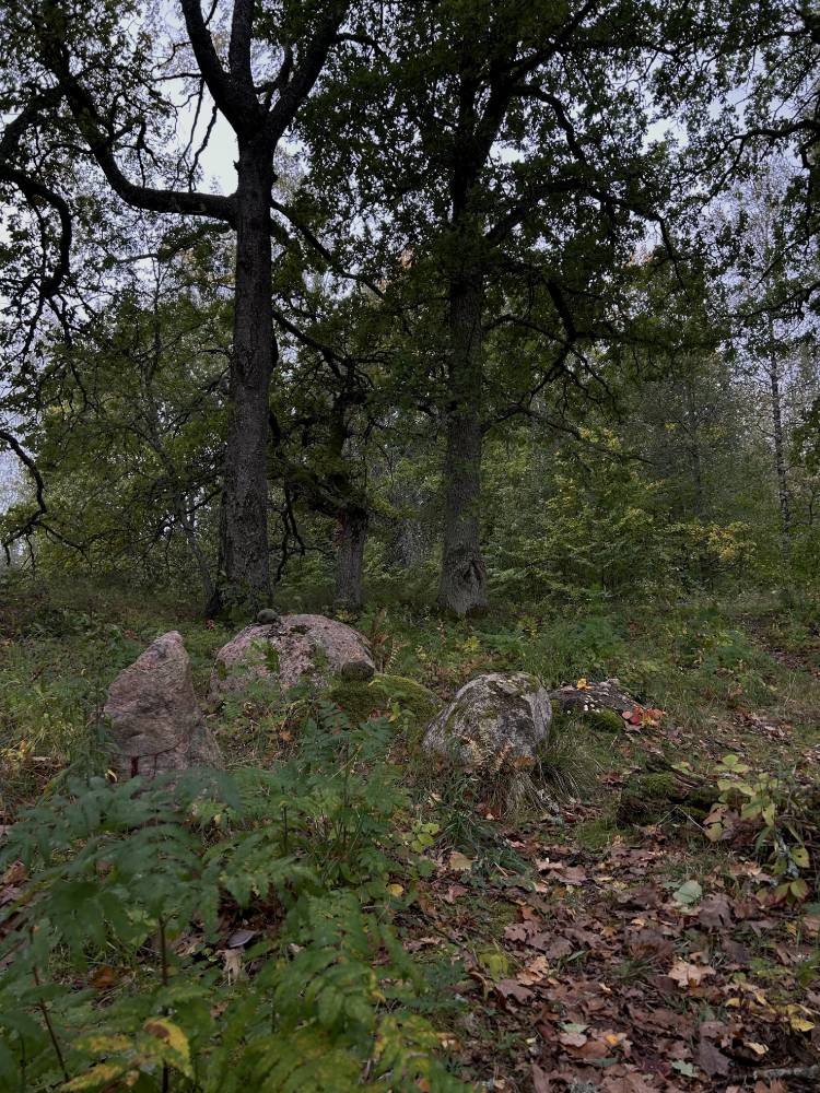 Ohvrikivid tsõõri keskel