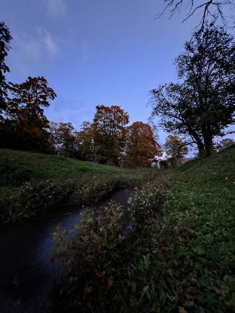 Haapsalu krahviallik