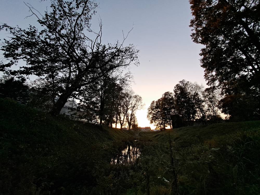 Haapsalu krahviallik