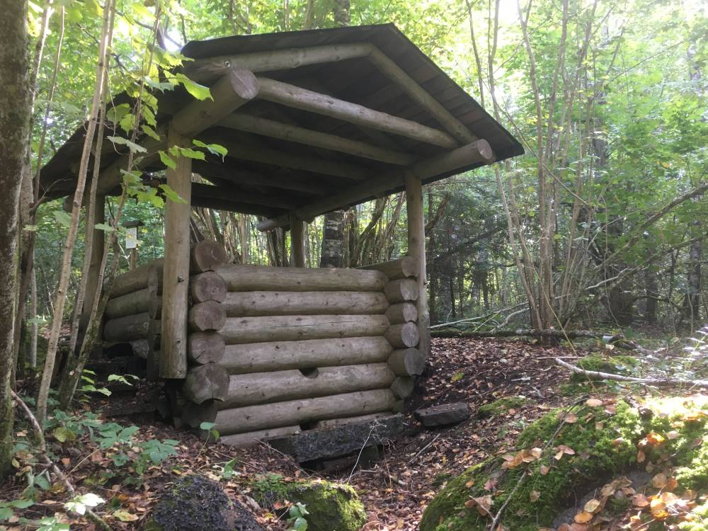 Palivere silmaallikas