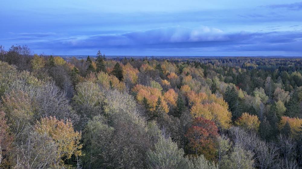 Sügisvärvides Ebavere