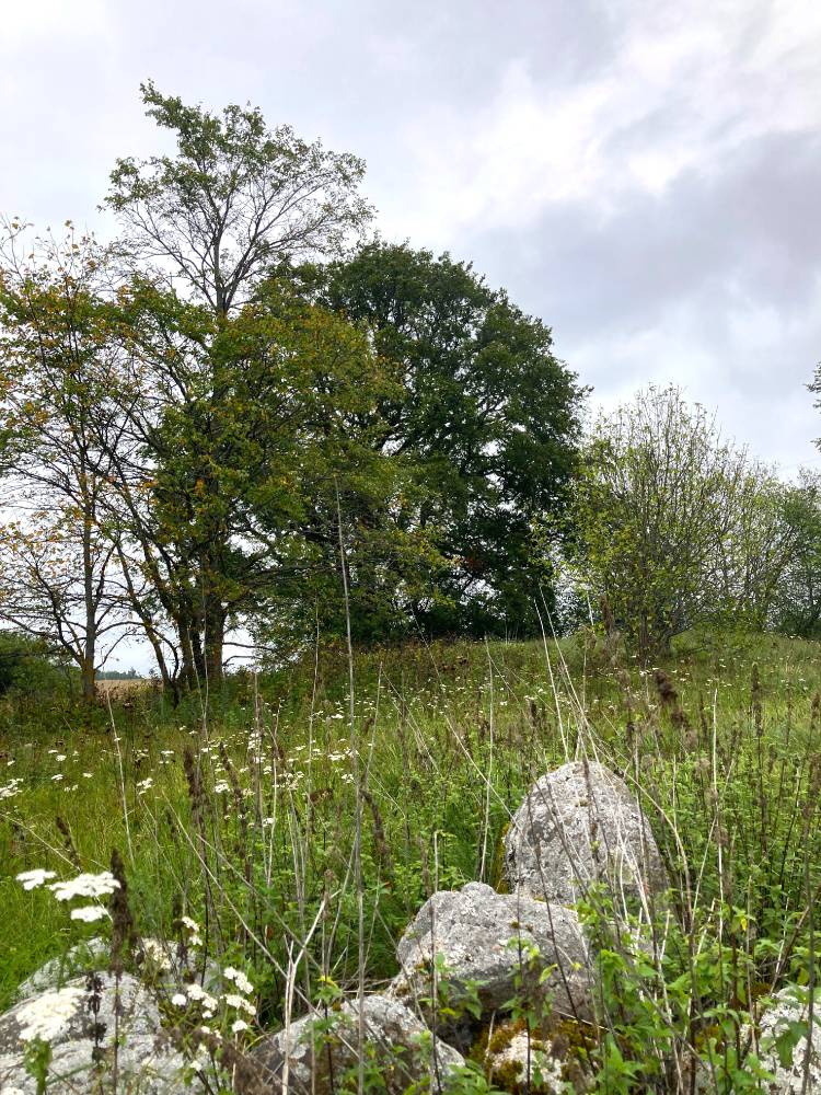 Ohverdamispaik munakividega