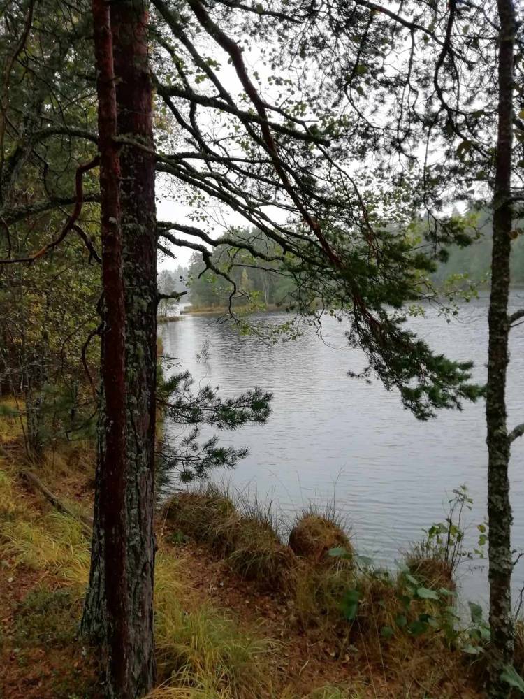 Lapsepõlve meenutades Pikkjärve radades 