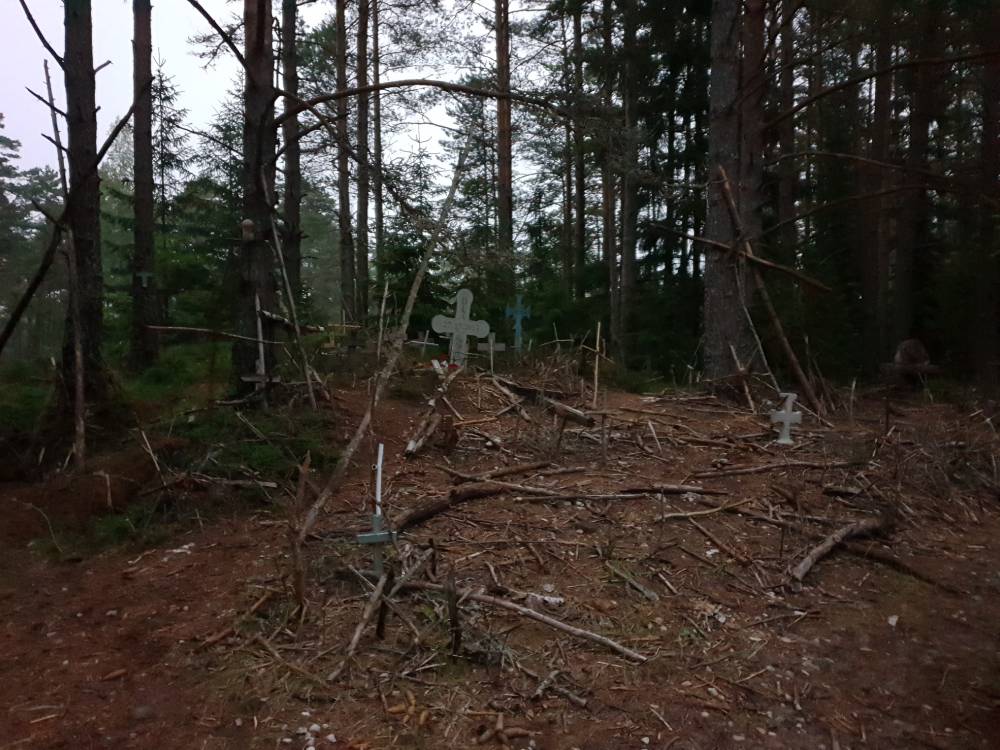 Jaaniöine ristimägi