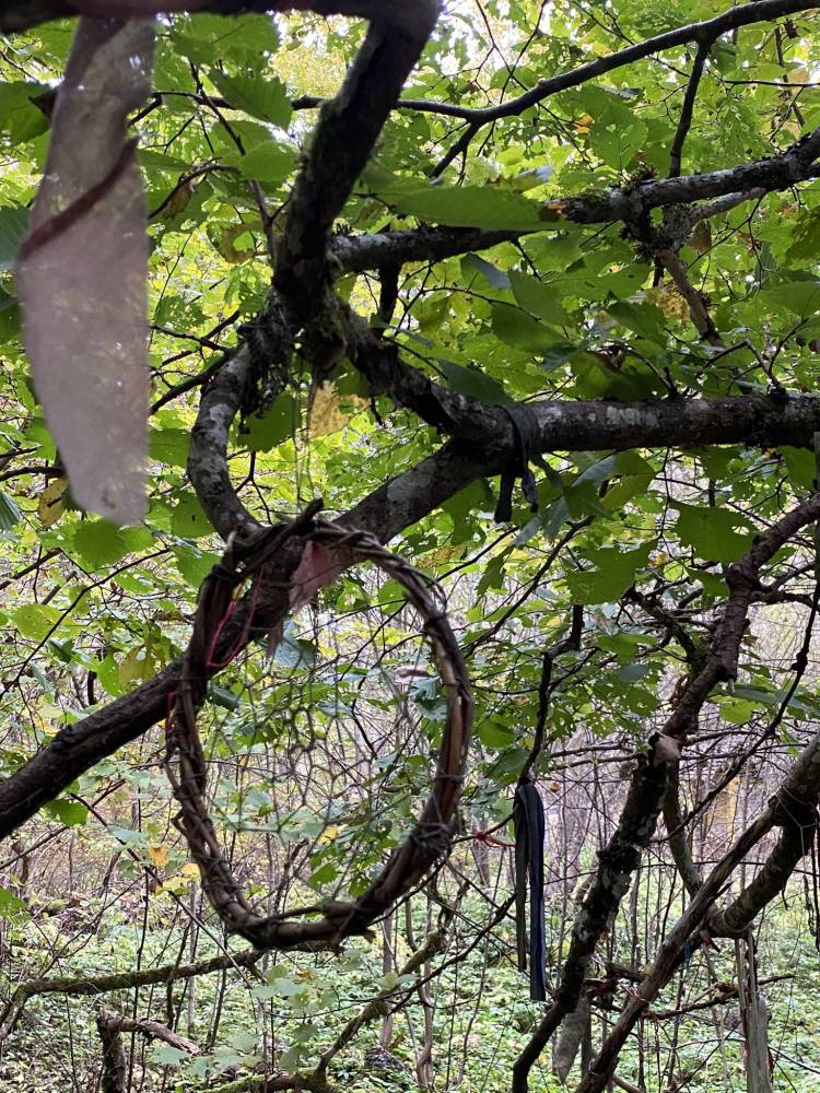 Ohvrikoht Pühäsalo