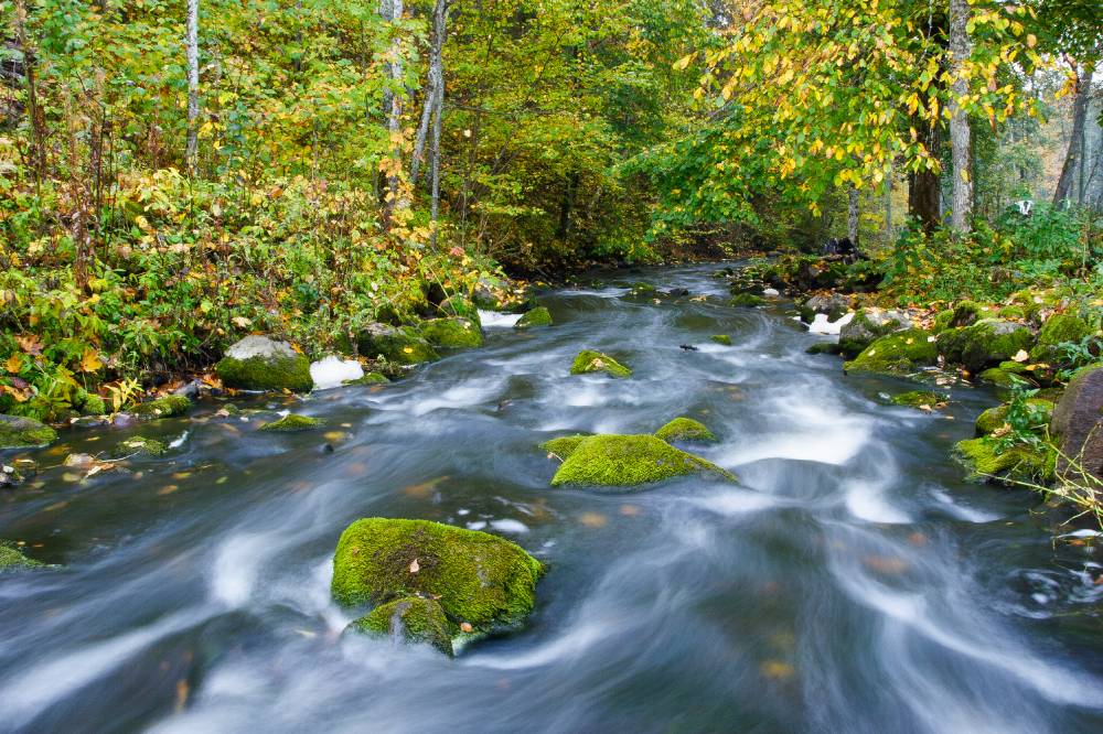 Pühajõgi Väike-Emajõgi